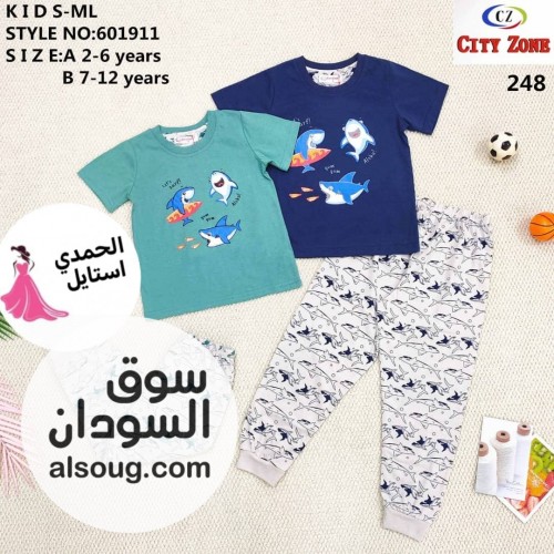  - صورة رقم 3