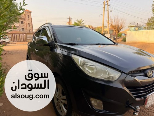  - صورة رقم 2