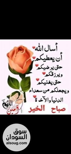 قطعه ارض الازهري مربع 2