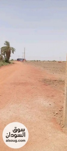مشروع ثمار الزراعي . - صورة رقم 4