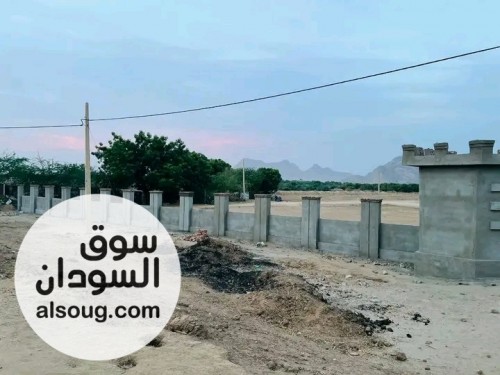 كمباوند درة كسلا السكني - صورة رقم 4