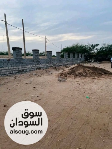 كمباوند درة كسلا السكني - صورة رقم 5