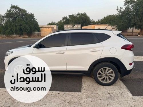 ولاية الجزيرة ود مدني - صورة رقم 3