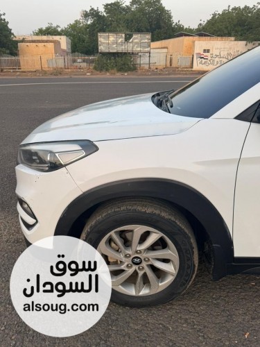 ولاية الجزيرة ود مدني - صورة رقم 5