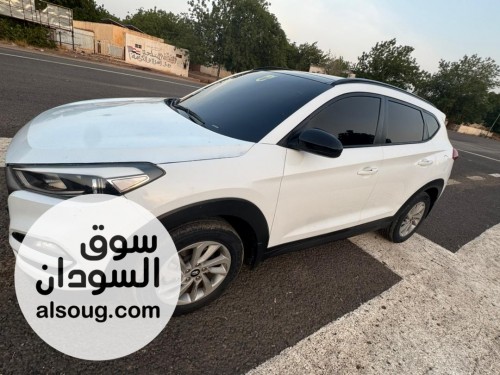 ولاية الجزيرة ود مدني - صورة رقم 4