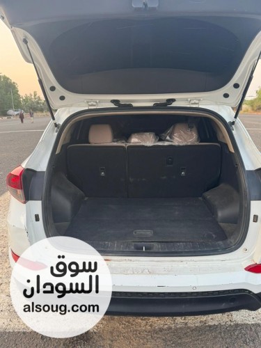 ولاية الجزيرة ود مدني - صورة رقم 7