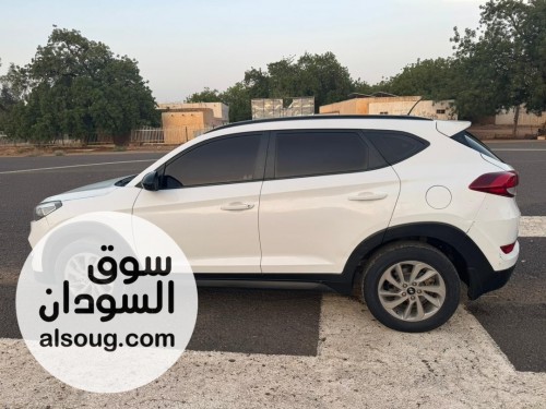 ولاية الجزيرة ود مدني - صورة رقم 6