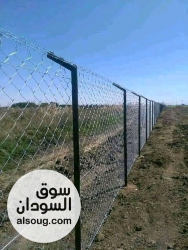اسلاك شائكه والأمواس - صورة رقم 2