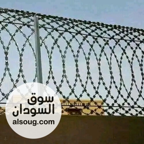 اسلاك شائكه والأمواس - صورة رقم 4