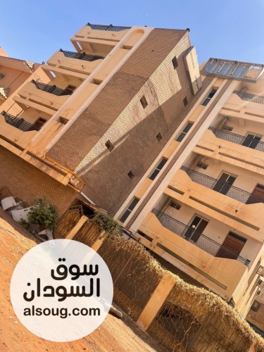عماره للبيع في المعمورة مربع81  - صورة رقم 4