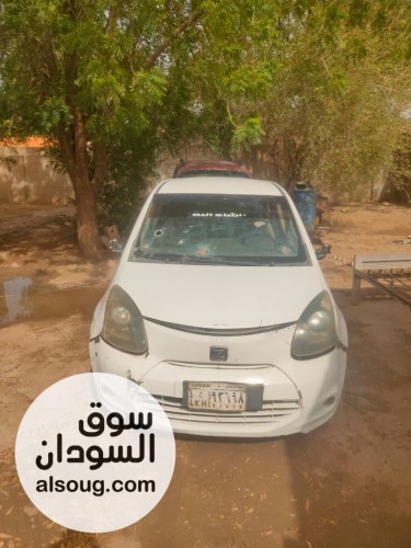 زوتي صينية مواليد 2017 - صورة رقم 6