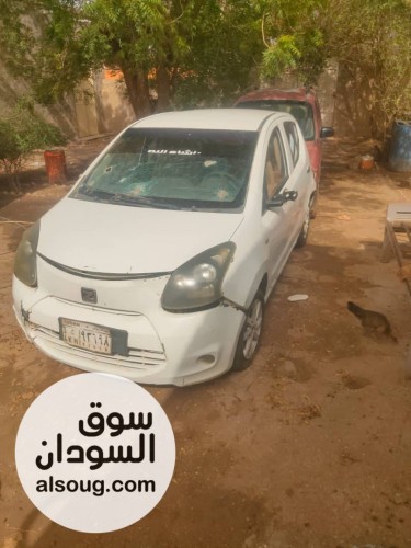 زوتي صينية مواليد 2017 - صورة رقم 7