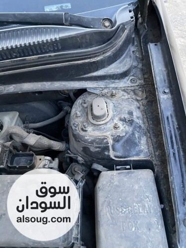 اكسنت دبدوب موديل 2010 - صورة رقم 8