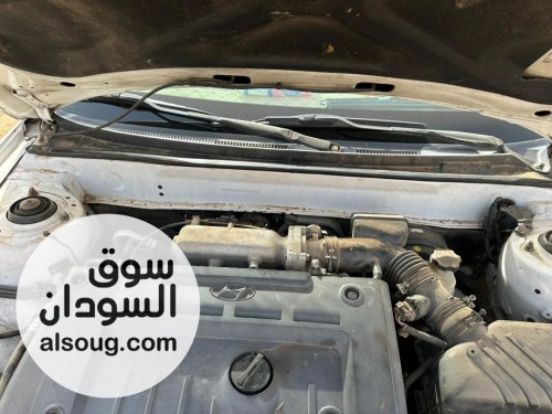 افانتي سحلية موديل2004 - صورة رقم 8