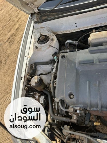 افانتي سحلية موديل2004 - صورة رقم 2