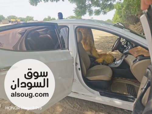 النترا موديل 2012 اتومتيك - صورة رقم 5