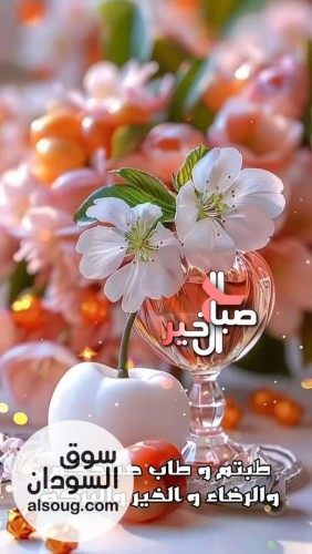 500 فدان الشماليه القولد مسطحه وخصبه
