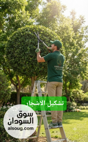 Green land for Agricultural services - صورة رقم 7