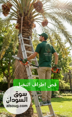 Green land for Agricultural services - صورة رقم 6