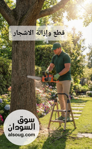 Green land for Agricultural services - صورة رقم 4