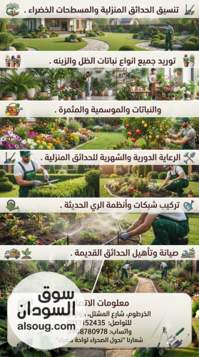 Green land for Agricultural services - صورة رقم 2