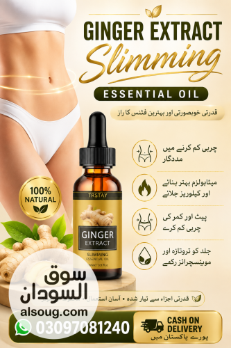Ginger Extract Slimming Essential Oil in Faisalabad
