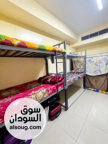 سكن شباب مشترك ف دبي - صورة رقم 3