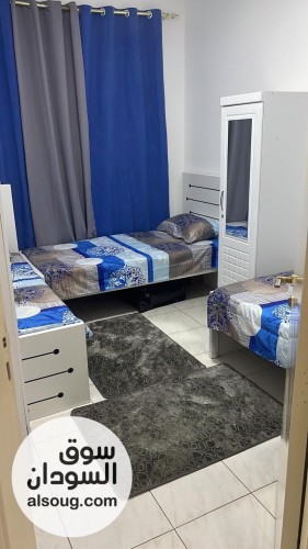 سكن شباب مشترك في دبي - صورة رقم 4