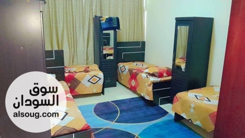 سكن شباب مشترك في دبي - صورة رقم 6