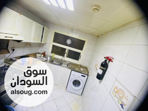 سكن شباب مشترك في دبي - صورة رقم 3