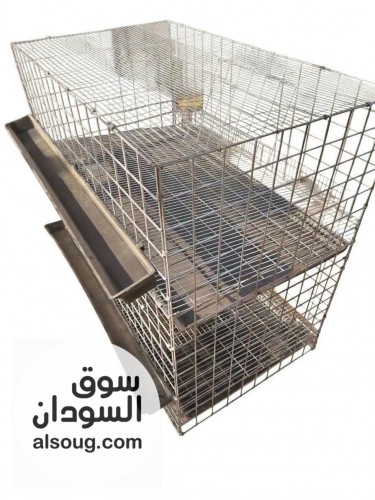 محلات الدكتور محمد عباس ود الحداد لمستلزمات الدواجن والطيور - صورة رقم 6