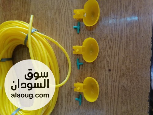 محلات الدكتور محمد عباس ود الحداد لمستلزمات الدواجن والطيور - صورة رقم 7