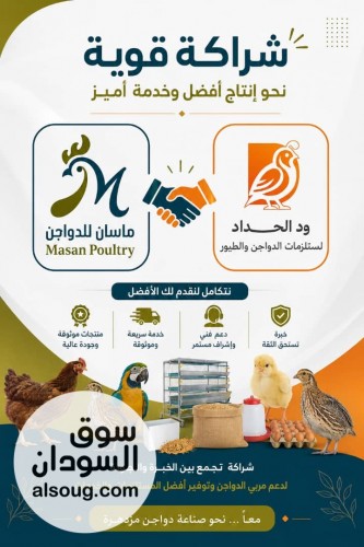محلات الدكتور محمد عباس ود الحداد لمستلزمات الدواجن والطيور - صورة رقم 4