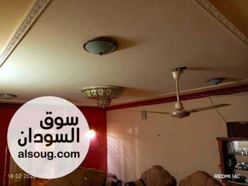 استوديو مفروش للإيجار اليومي في جبرة جنوب مربع 14  - صورة رقم 7