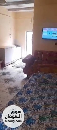 منزل للبيع بورتسودان الثوره مربع 18 - صورة رقم 7
