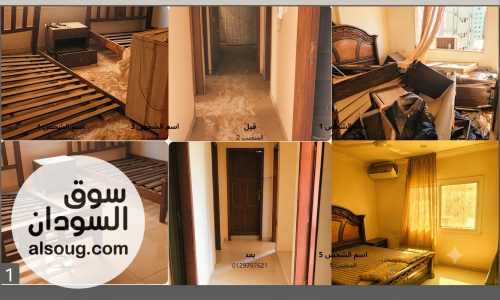 خدمة نظافة لتعقيم منازل