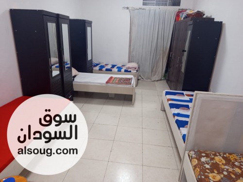 سكن مشترك للموظفات بالامارات عجمان - صورة رقم 6