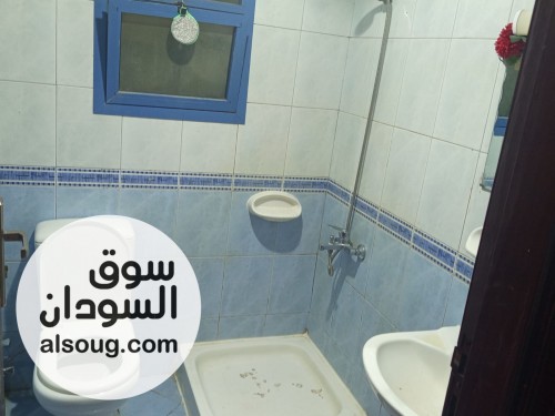 سكن مشترك للموظفات بالامارات عجمان - صورة رقم 5