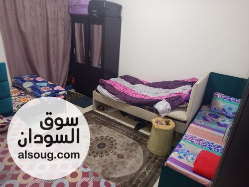 سكن مشترك للموظفات بالامارات عجمان - صورة رقم 2