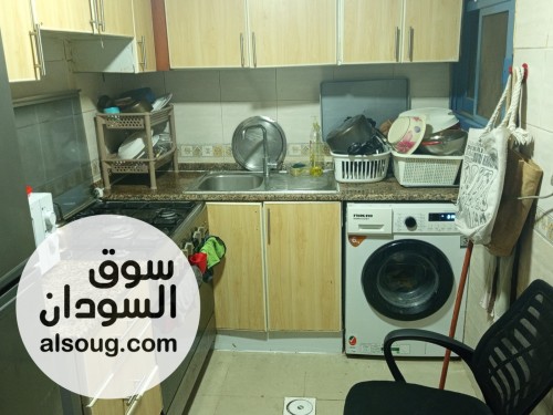 سكن مشترك للموظفات بالامارات عجمان - صورة رقم 3
