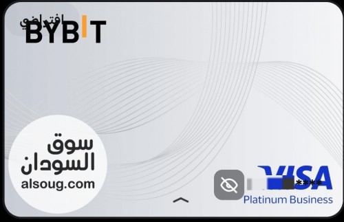 فيزا بايبت إفتراضية موثقة بسعر رمزي ومناسب