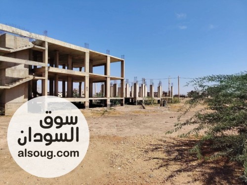 قطع اراضي عادية في مخطط المنشية مربع 13 - صورة رقم 2