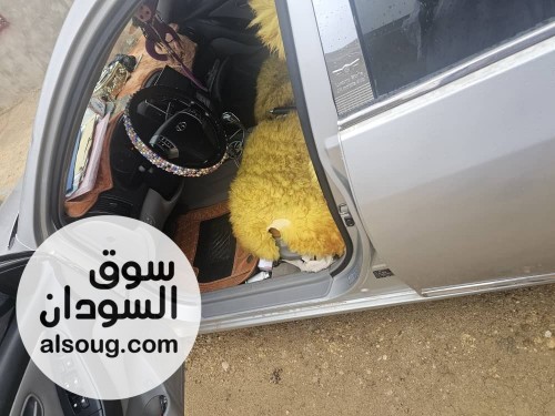 للبيع في شندي -برادو 2005 -الغير عادي -الوقود جاز 5 ال-تكيف تلللجه - صورة رقم 2
