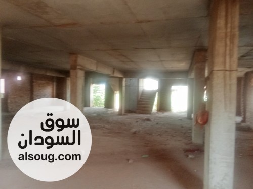 هيكل للبيع بكافوري مربع 8