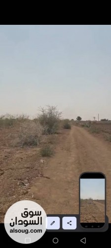  للبيع ملك حر مزرعة 3 فدان فيها بئرتاني قطعة من شارع التحدي  ٣٠٠م - صورة رقم 2