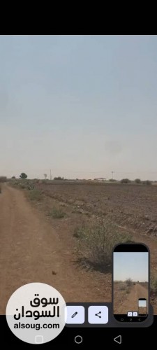  للبيع ملك حر مزرعة 3 فدان فيها بئرتاني قطعة من شارع التحدي  ٣٠٠م