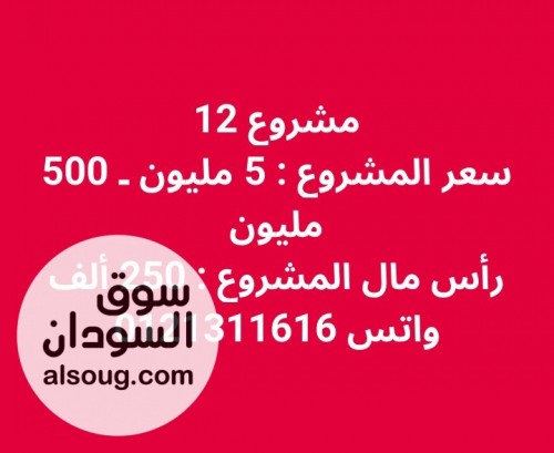 مشروع تجاري للبيع رقم 12