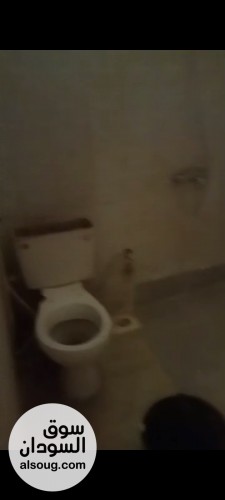 شقه للايجار فاضيه الواحه مربع 4