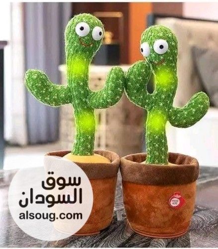 عرض الصبارة الضاحكه - صورة رقم 2