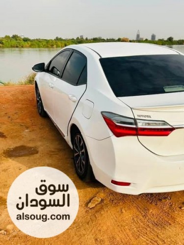 كوريلا موديل 2018 شاذه